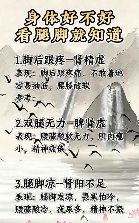 脚后跟疼、双腿无力、腿脚发凉，中医解读腿脚信号