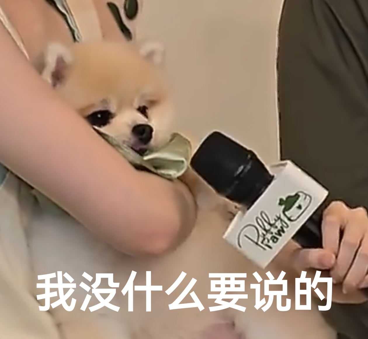 女明星心情： 