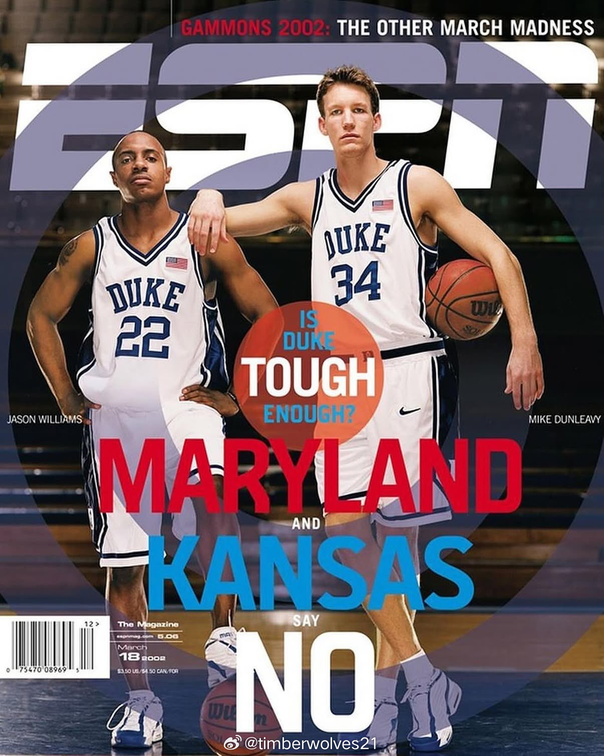 杰伊·威廉姆斯与小迈克·邓利维（2002年） 