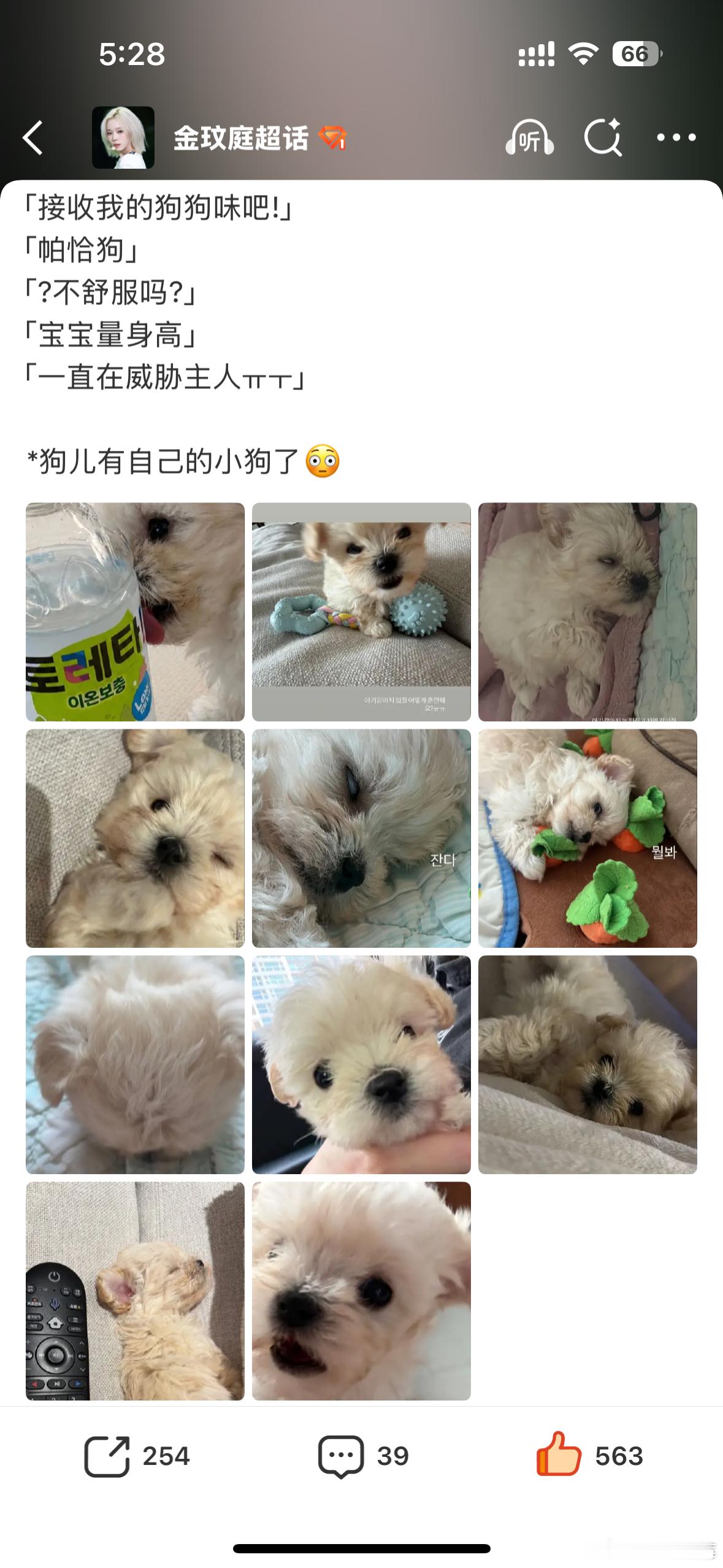 我狗现在属于一个宝妈心态 