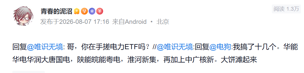 今天在雪球上，看到一个哥们，买了十几只电力股。我都好奇，这哥们是在自己手搓电力E
