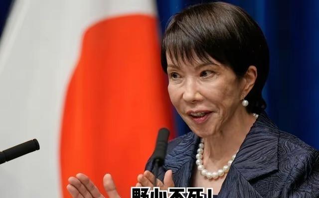 日本如果真的介入台海会怎么样？中国专家给出了答案：如果日本真的敢武力介入台海问题