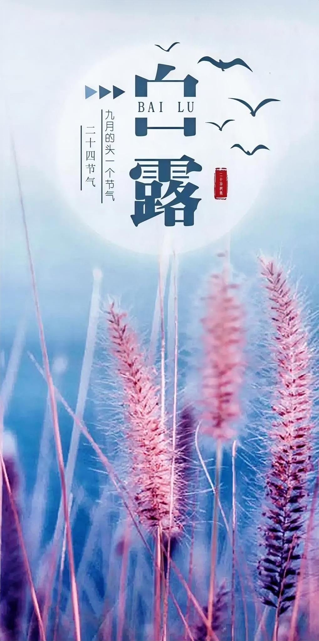 稻浪金黄，瓜果飘香，白露藏着丰收与温柔。
白露怎么过
记录我的2026