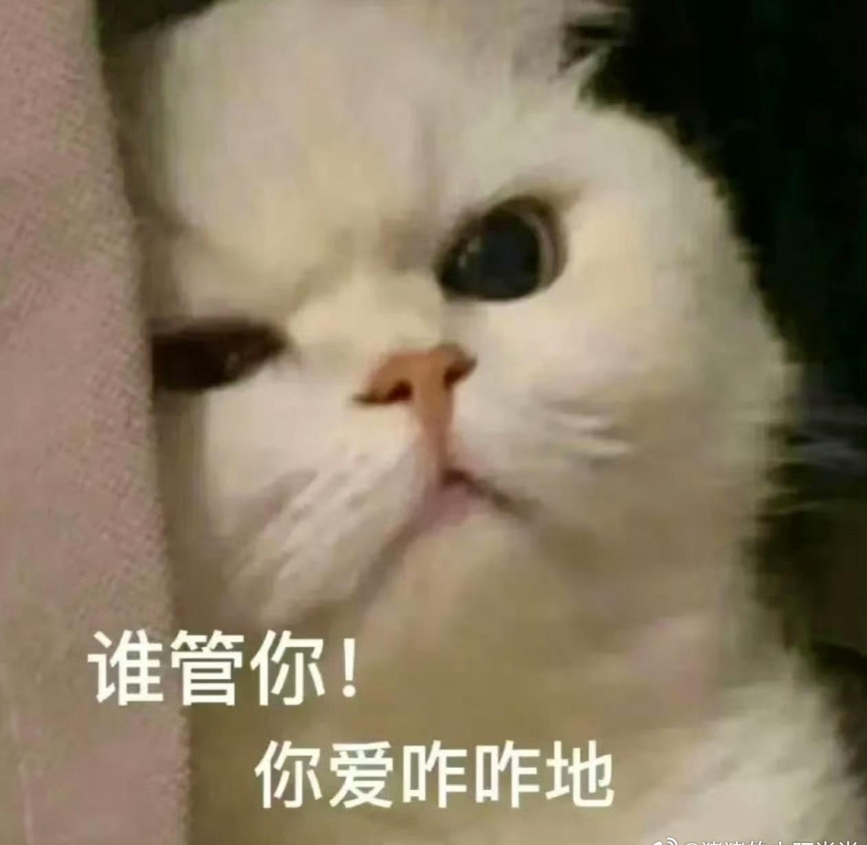 下午茶主理人在办公室的地位，说是“无冕之王”都不过分！她一句话能决定大家下午的摸