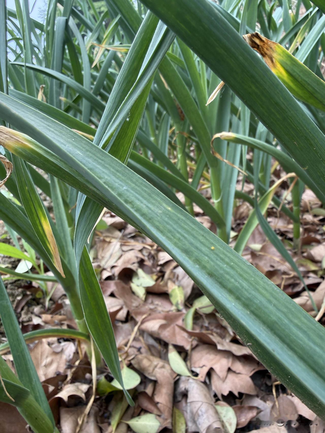 【小对联】
上：风里雨里；
下：……？