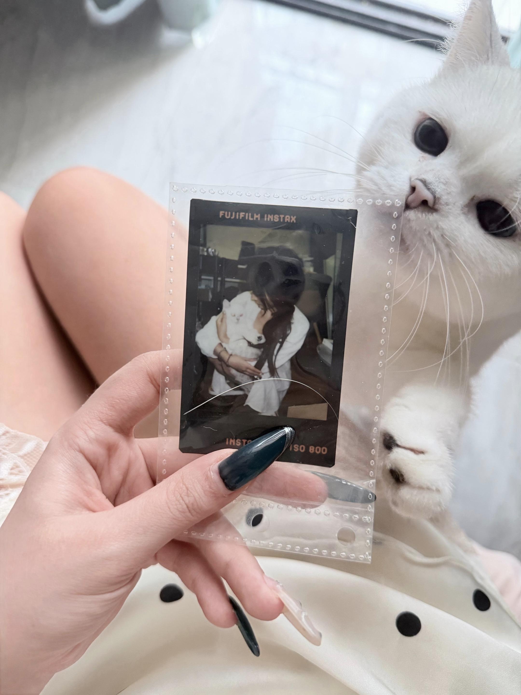 我许愿我的猫猫能健康快乐的一直陪着我