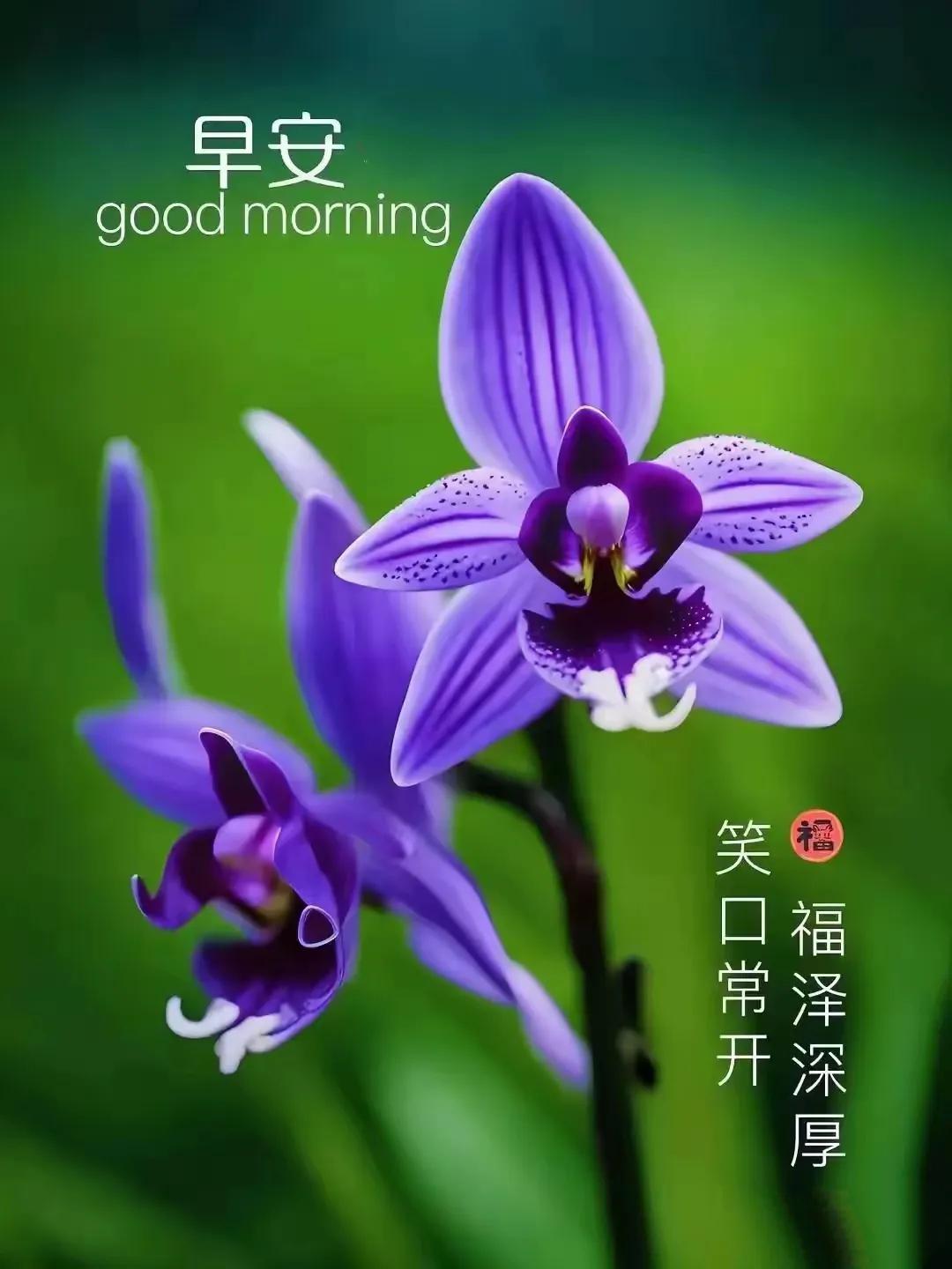 最令人愉悦的关系大概就是：久处不厌，闲谈不烦，从不敷衍，绝不怠慢。