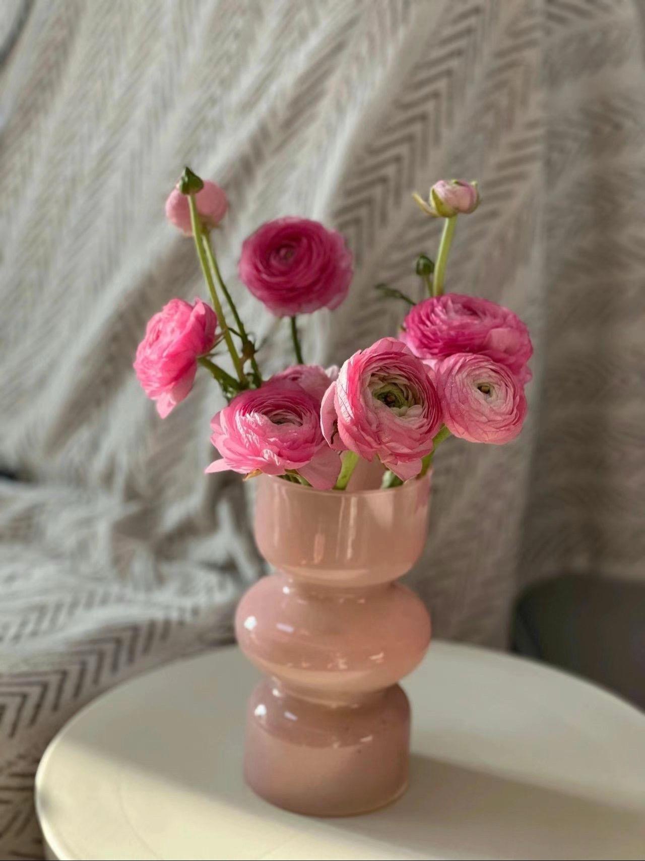 鲜花永远是平淡生活里温柔的光 ❤️。