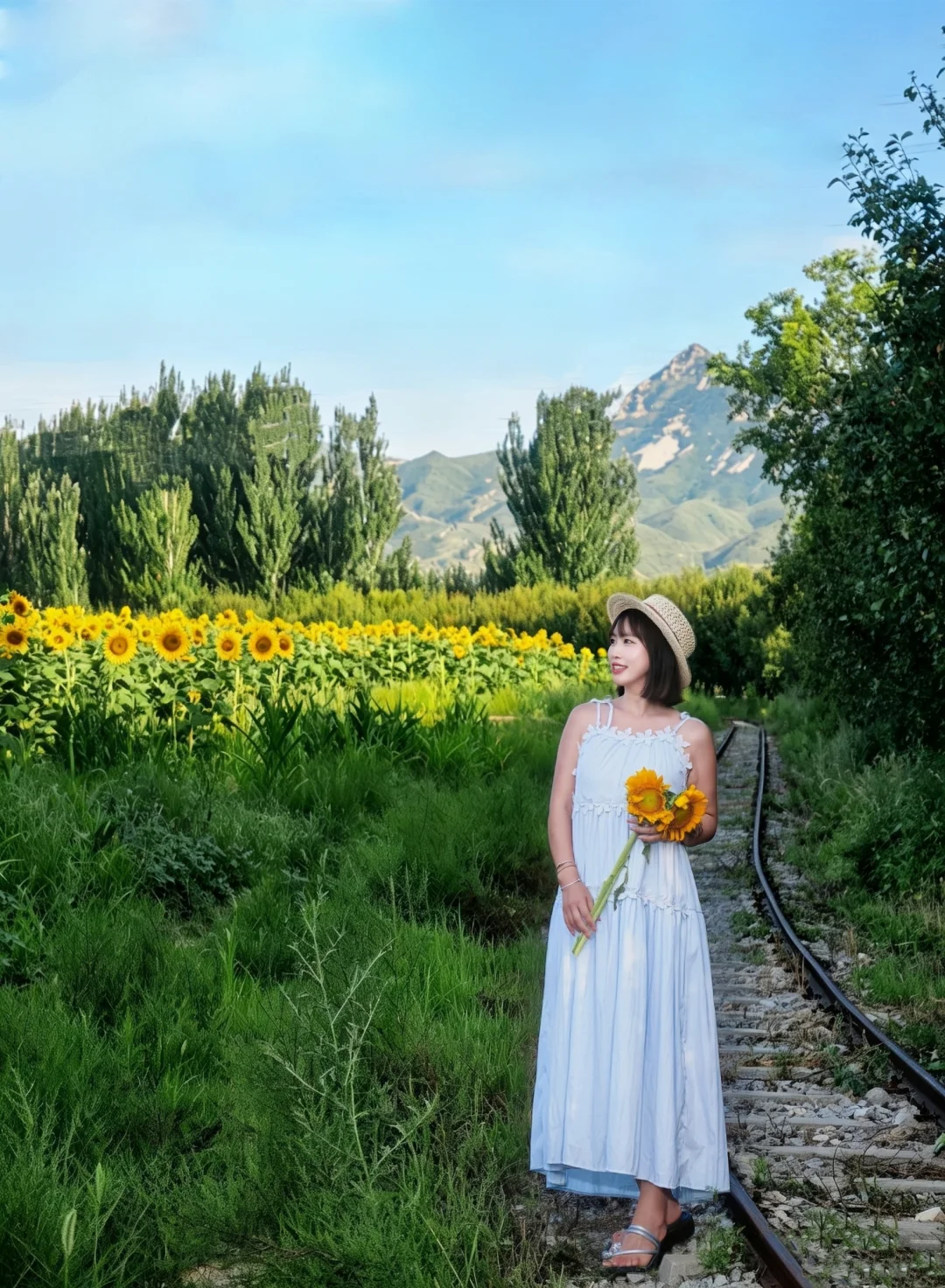 北京出发1h~去看向日葵🌻喽