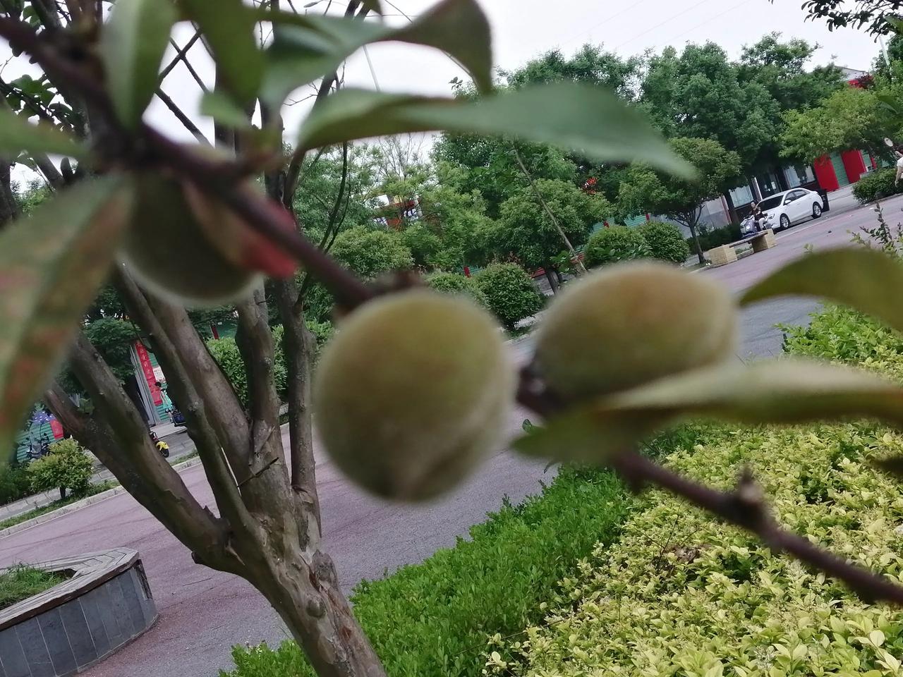 开了个会，大家高度概括了一下，就两句话：
1、教师这个职业如今也算是高危行业；
