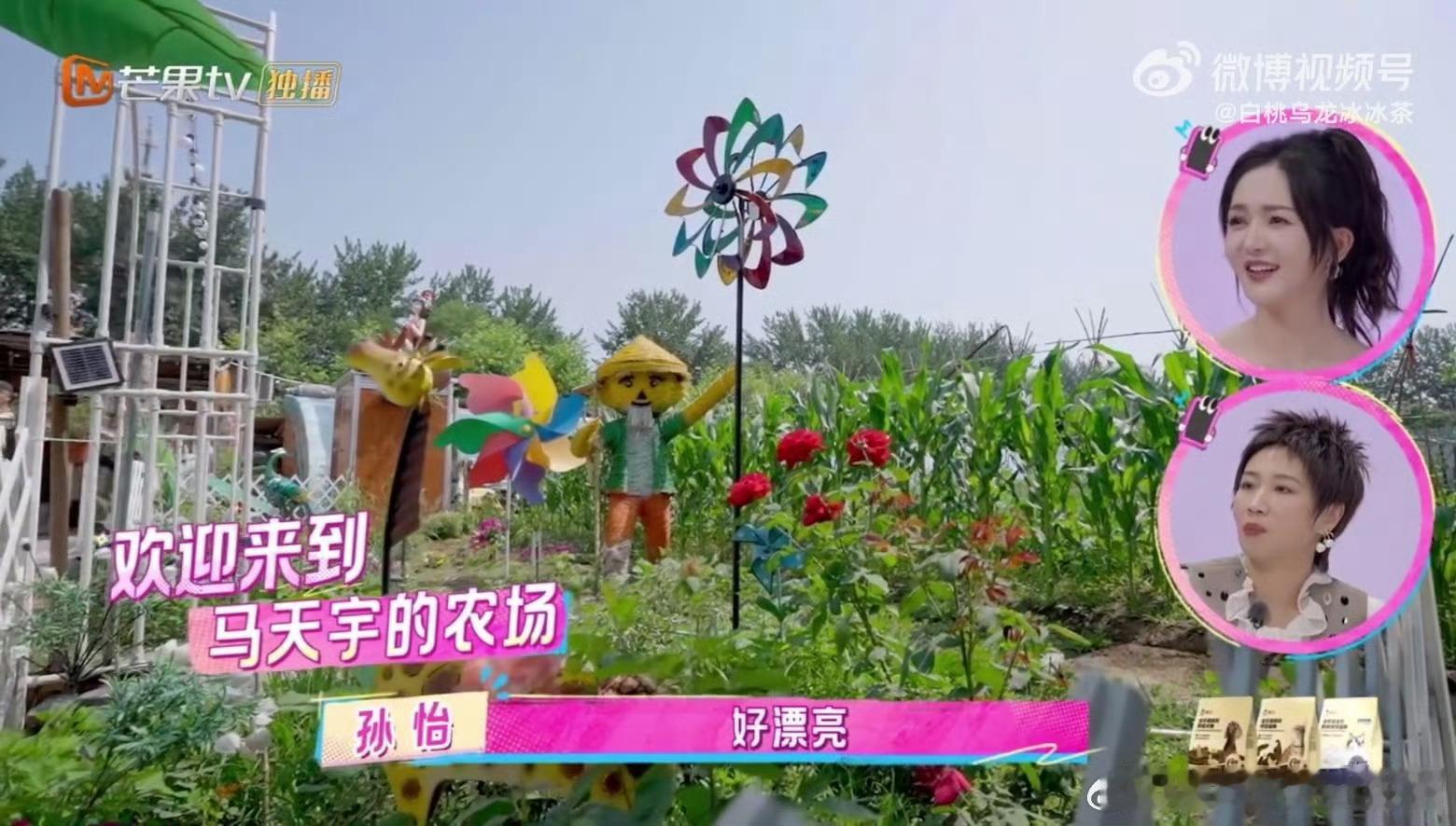 孙怡参观马天宇的农场啊啊啊啊 专属于他自己的吗？感觉生活好惬意 ​​​