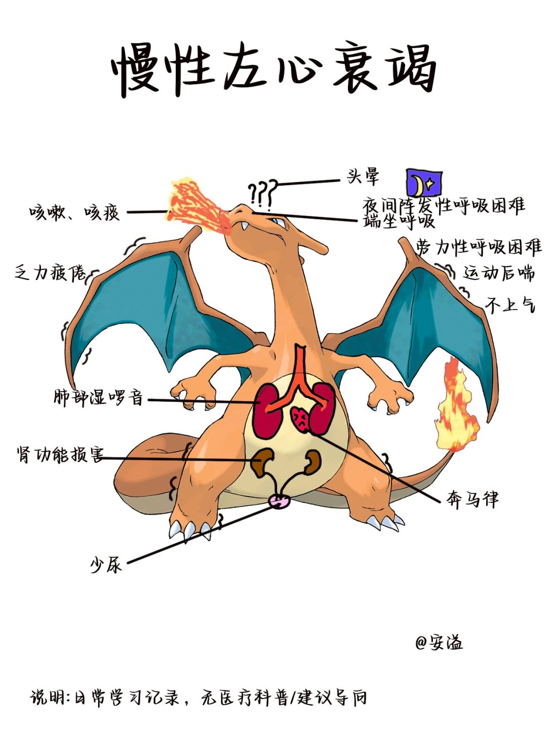 医学生绘本笔记‖慢性左❤️衰