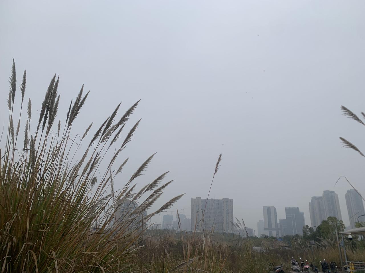 少年勇气可嘉，成年人未下水也不可辱，不能道德绑架。这才是正常的社会。