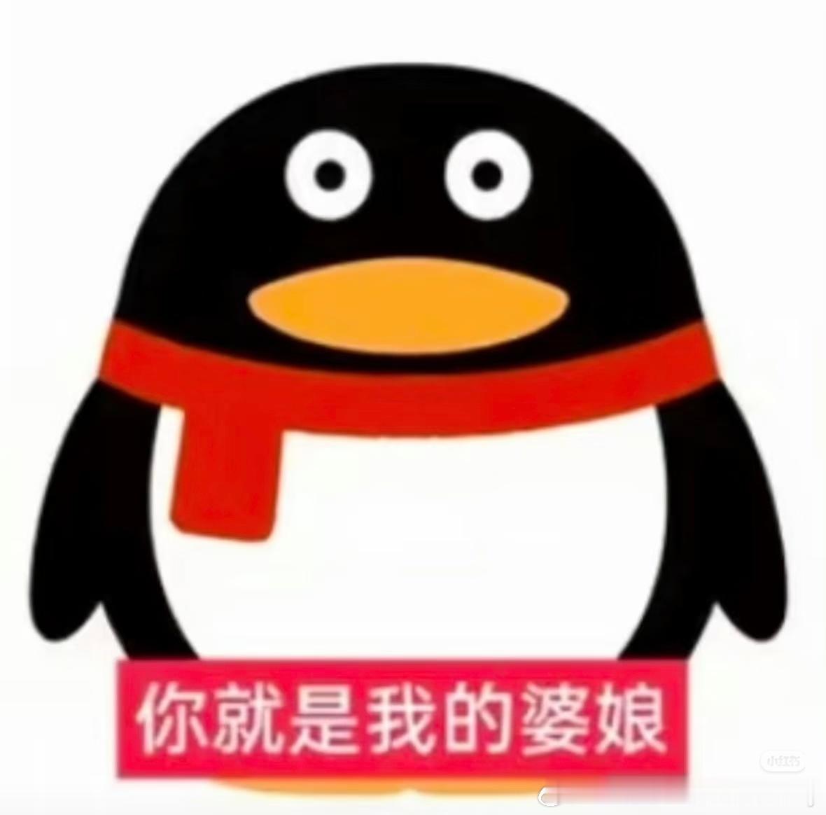 罗意威看见穆祉丞bybike： 