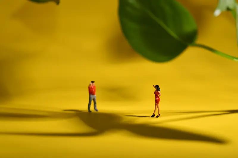 家庭悲剧背后：一场误会引发的悲剧，警示我们珍惜与信任的重要

2024年3月24