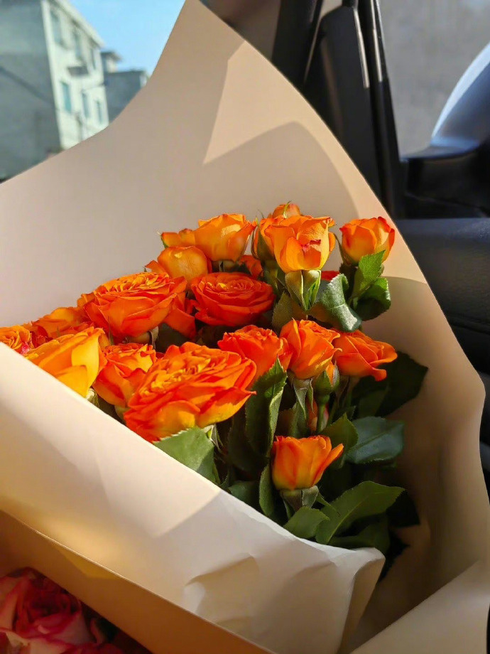 “任何东西，足够迷惑你，就足以毁了你，心软是病，情深致命，避免失望的最好办法，就