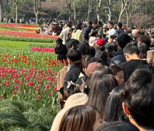 春风拂面，万物复苏。感觉一到春天城市公园、郊野绿道、山间小径上，踏青、骑行、露营