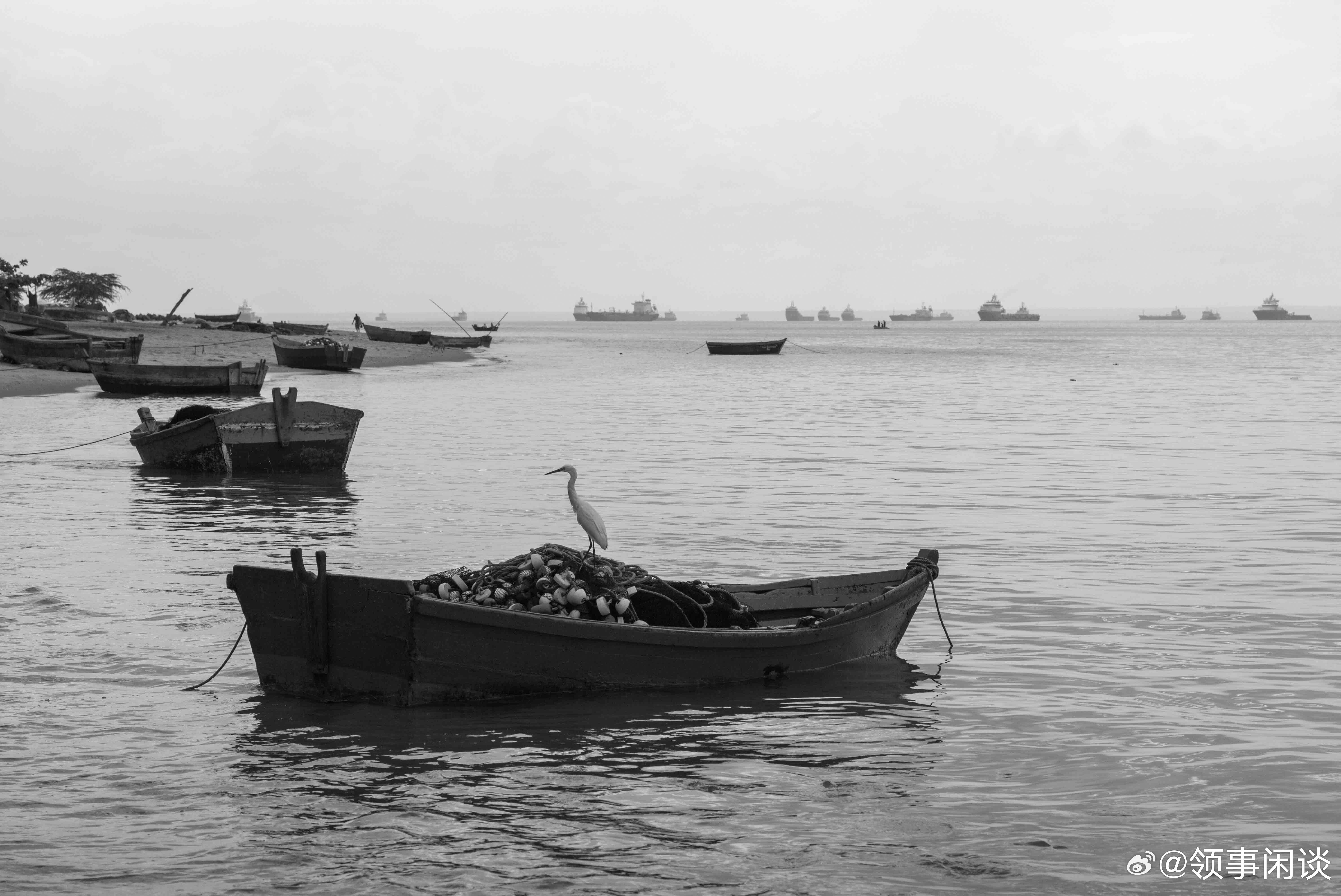 跟着领事看非洲