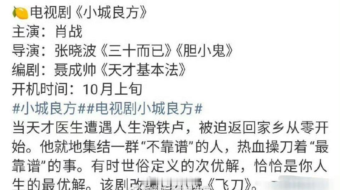 肖战的下一部新剧《小城良方》，今年年底十月份就能开机，所以肖战真的凭借《藏海传》