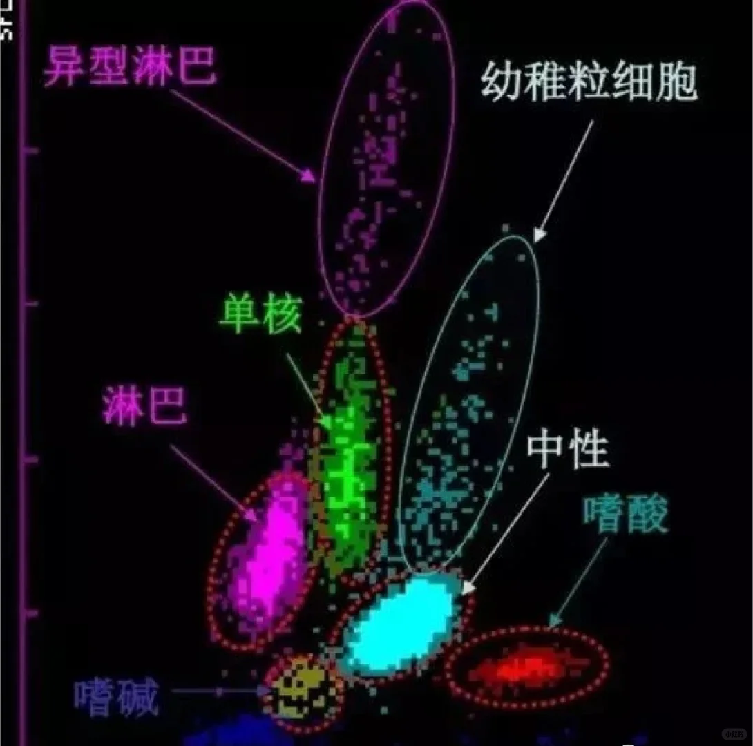 血常规的散点图