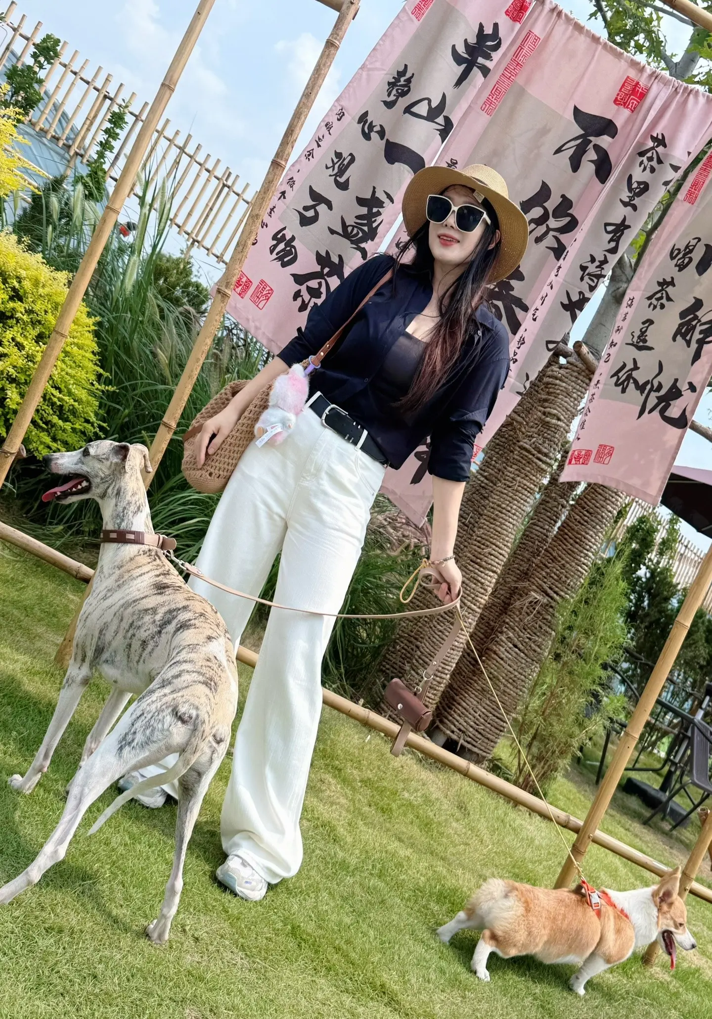 生活不止眼前的苟且，还可以跑到深山老林里采茶