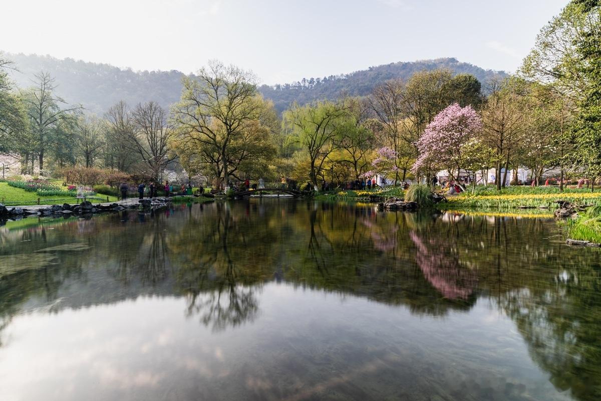 【股权激励调整：不利于员工时，会计“不认账”】企业在授予股权激励后，若后续对条款