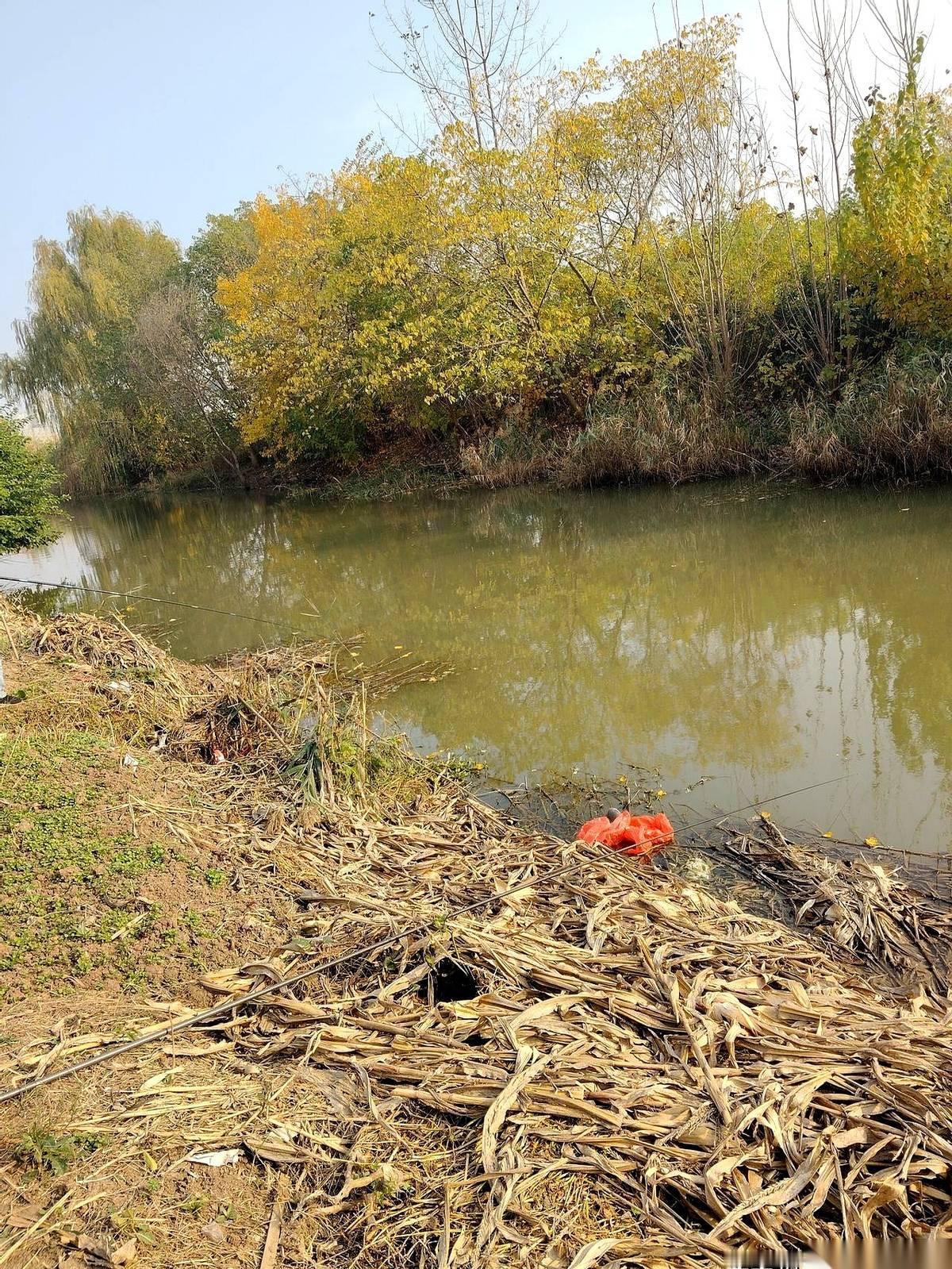 想把一个青春期的男孩从他那个“洞”里叫出来，需要几步？
答案是：一步。
跟他说，