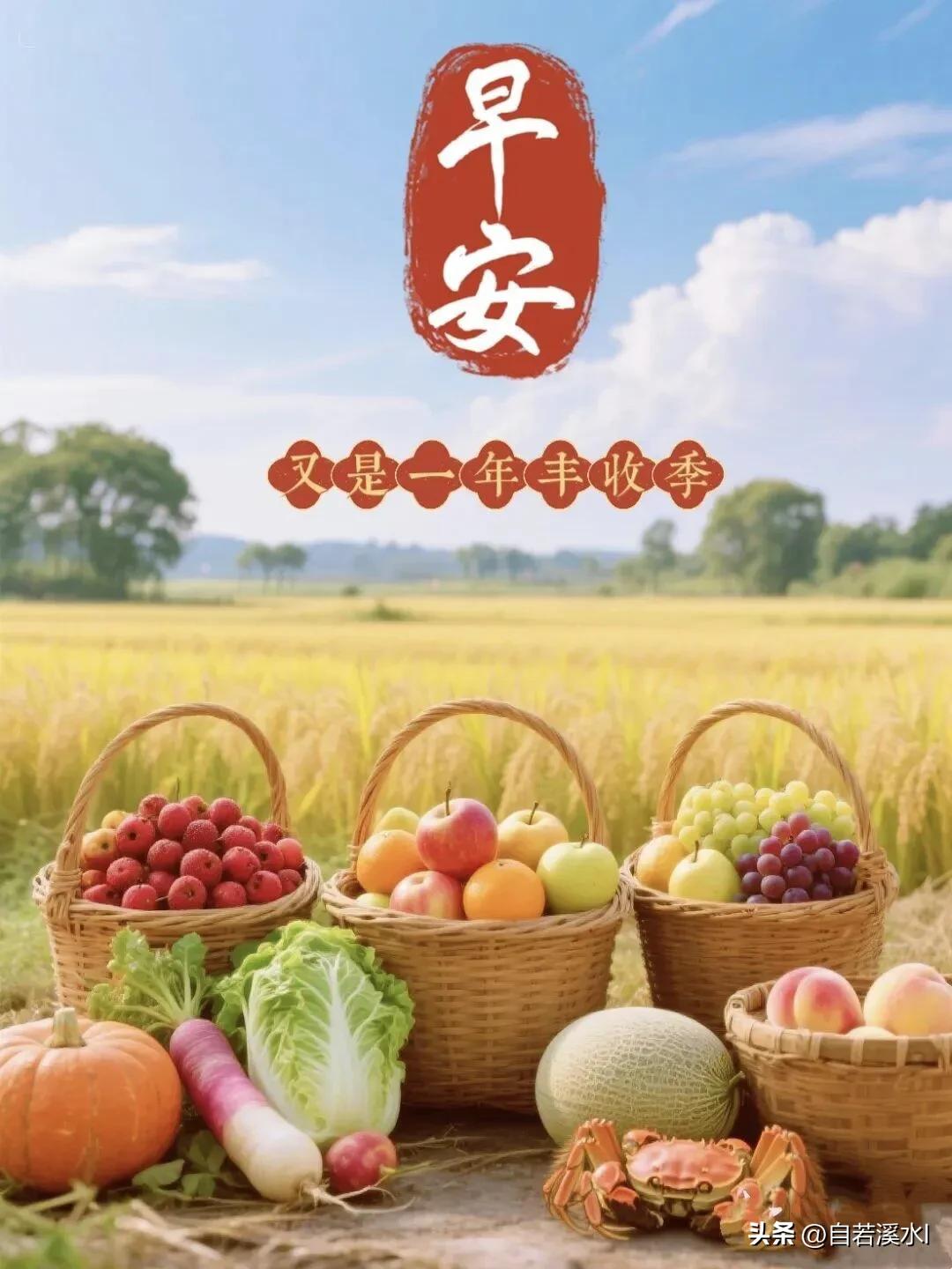 金秋丰收满田园，五谷飘香，愿岁岁丰盈，早安吉祥。