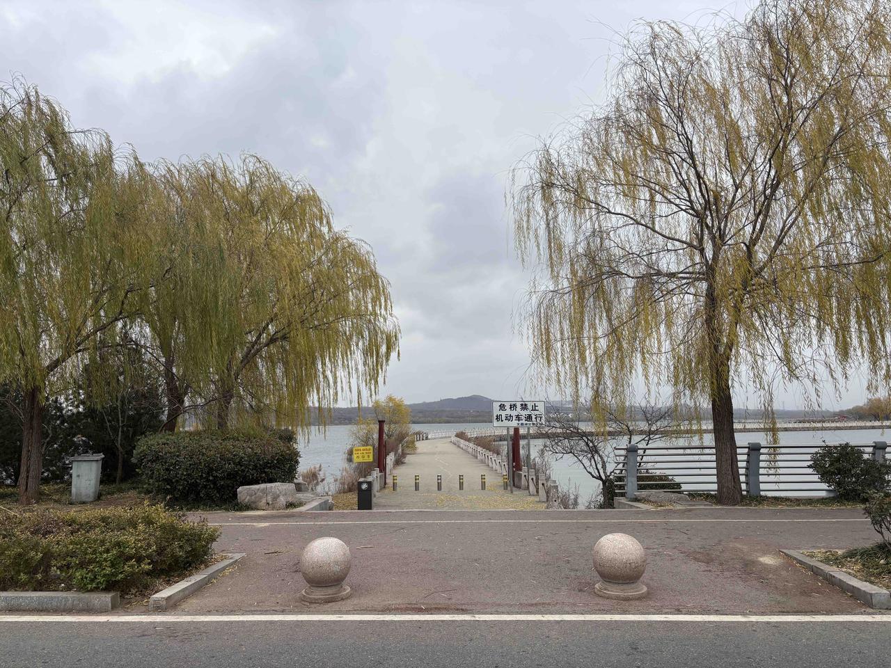 可以分享一张秋景树叶的的照片吗