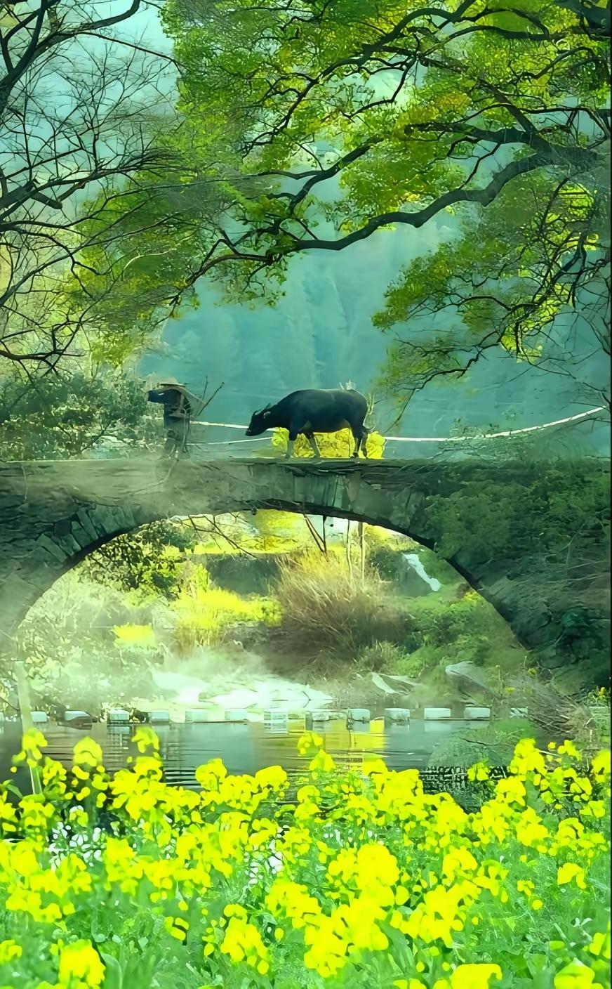 明知夕阳留不住，偏对夕阳寄深情
 
人间很多事，本就是留不住的。
年华会老，繁华