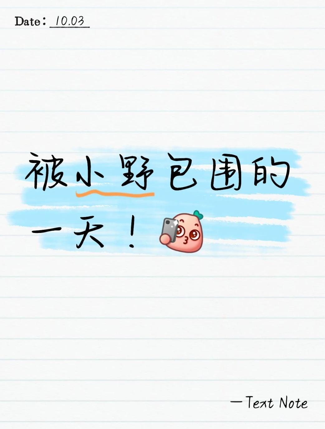 被小野包围的一天
今天整理桌面，发现全是小野 —— 盲盒摆了一排，贴纸贴了一墙，