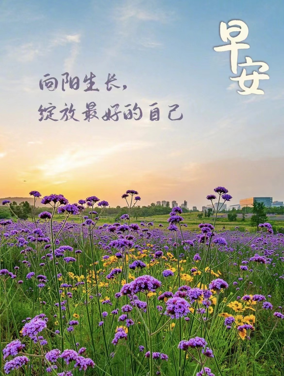 无论这个世界对你怎样，都请你一如既往的，努力、勇敢、充满希望！早安，朋友们[太阳