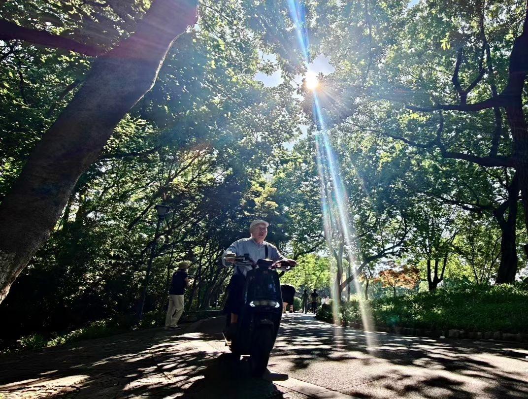 分享你随手拍的风景阳光穿过枝叶，在林荫道上洒下斑驳的光影。微风轻拂，老街上的时光