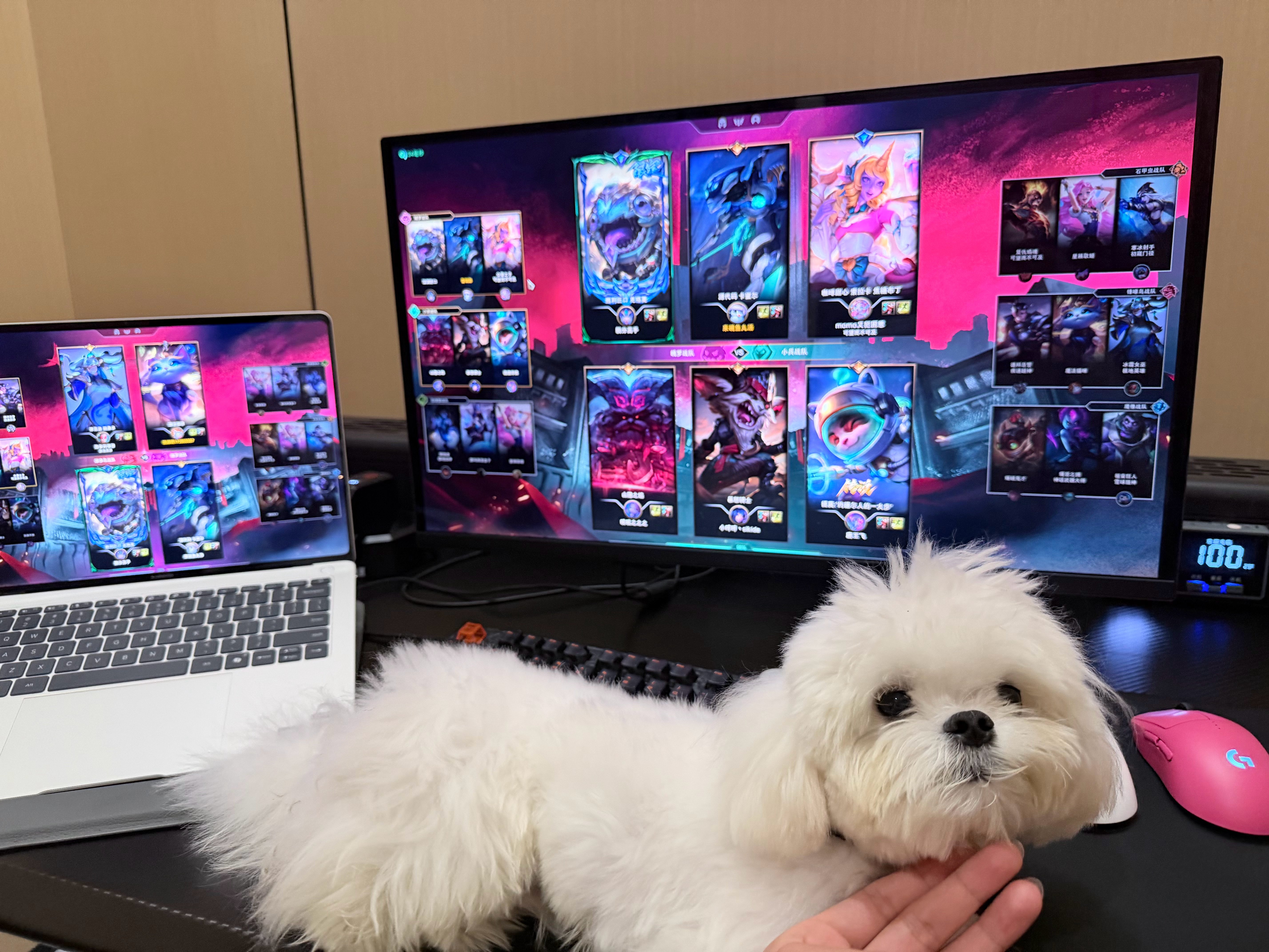 晚安 被SpaceX +LOL +鱼丸 所有的热爱拥抱着真美好 