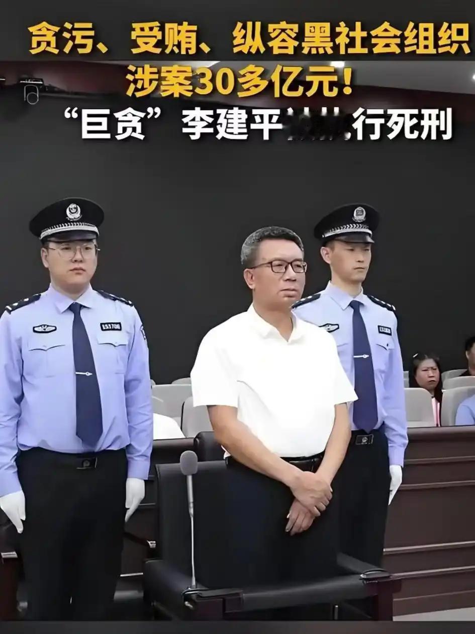 贪官李建平的儿子李苏超被追逃回国的可能性有多大？
贪污，受贿和挪用公款总计31亿