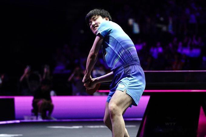 wtt横滨冠军赛2026张本智和 260809“WTT冠军赛横滨🥇男单冠军🏆