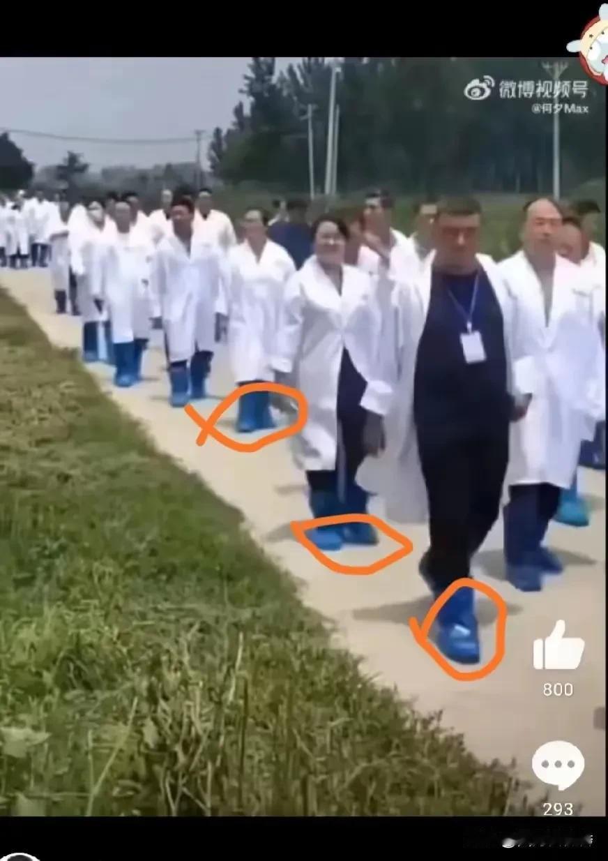 看这些专家身穿白大褂，脚戴蓝鞋套，意气风发的样子，就知道他们肯定不是一般人！
不