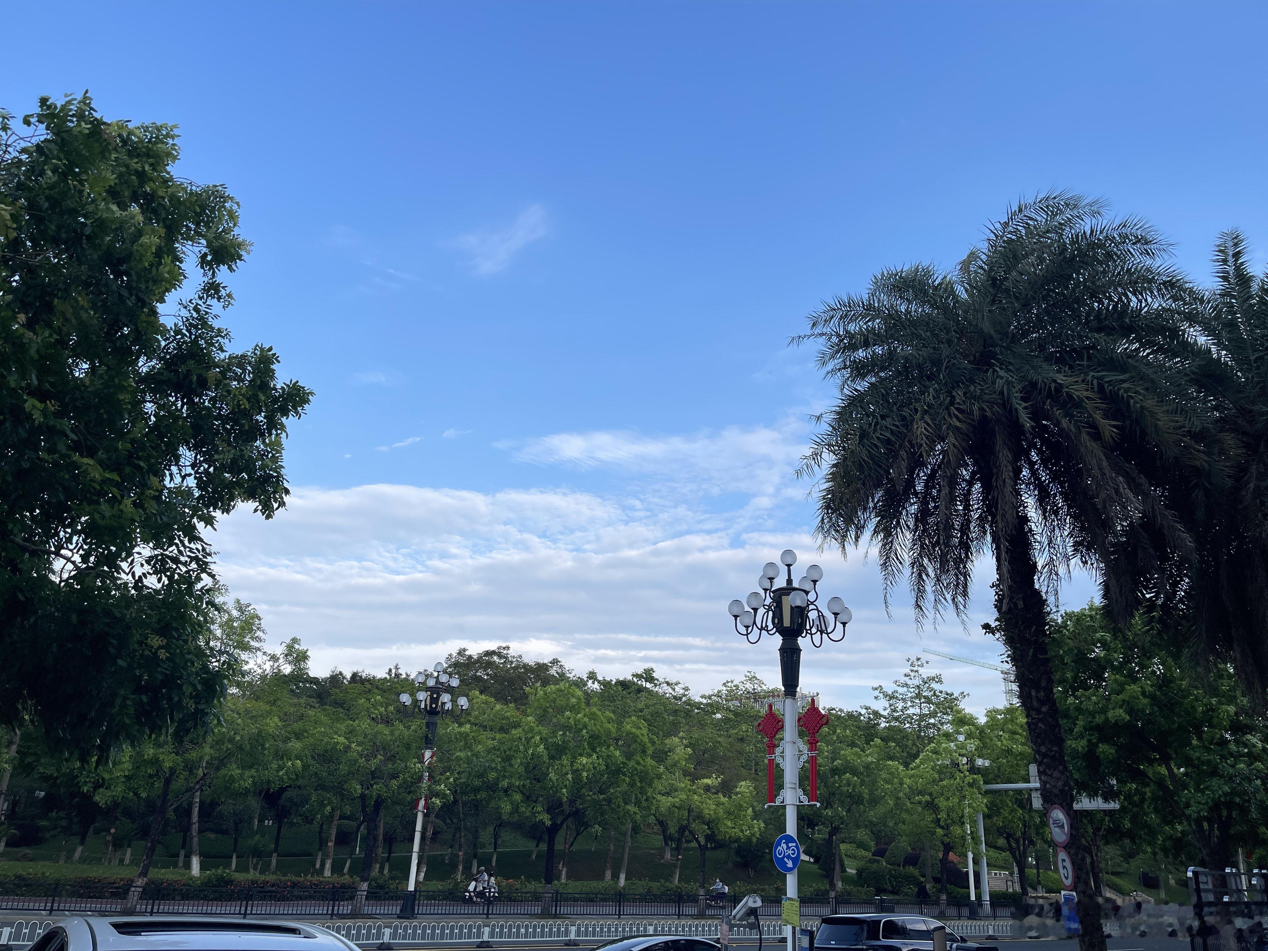 一个小伙伴自述选择广州的理由广州最打动人的，不是高楼大厦的光鲜，而是藏在市井烟火