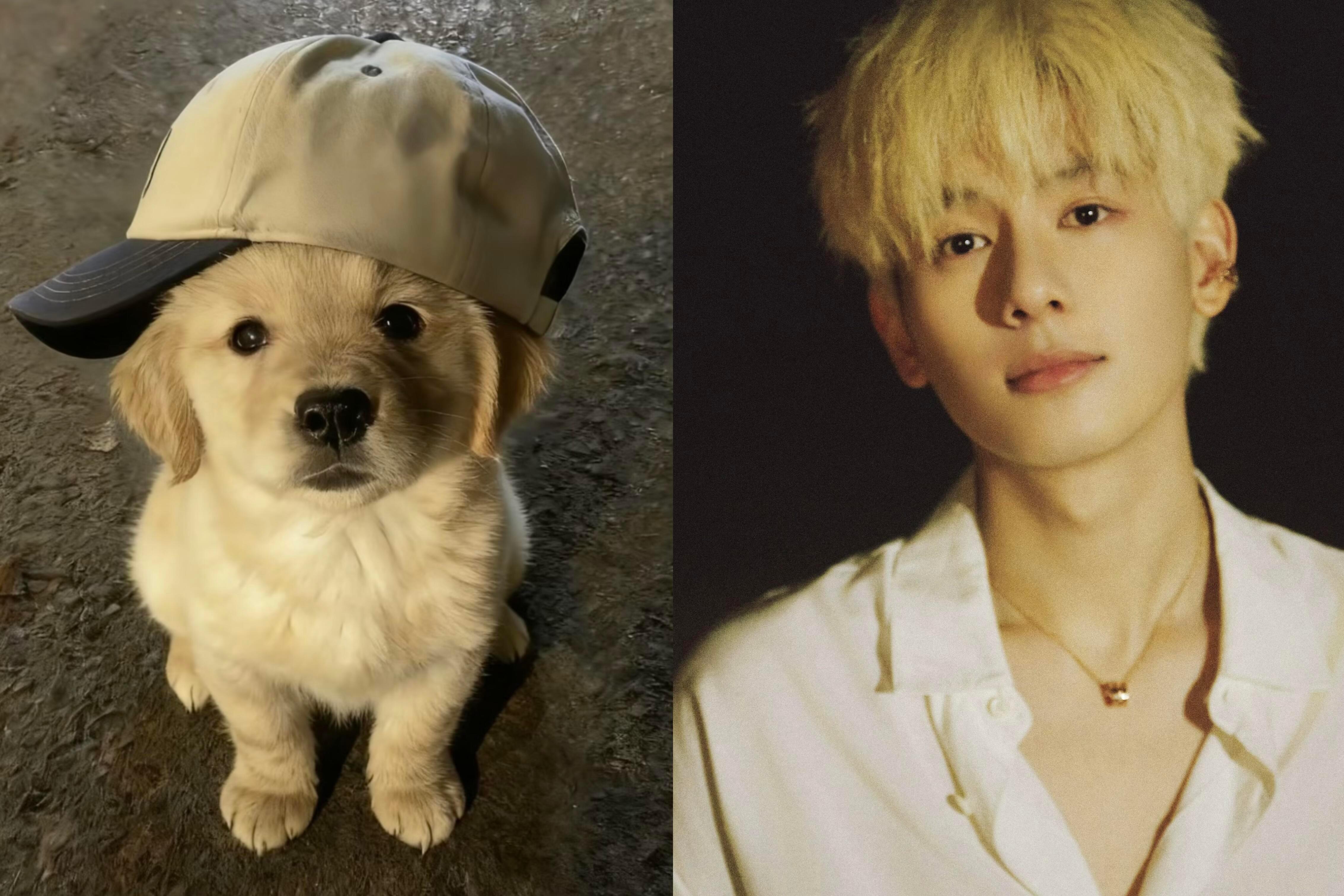 猫塑？狗塑？还是狐塑？🥰🥰🥰我将在家研究胡先煦拍照角度未来十年没人能懂胡先