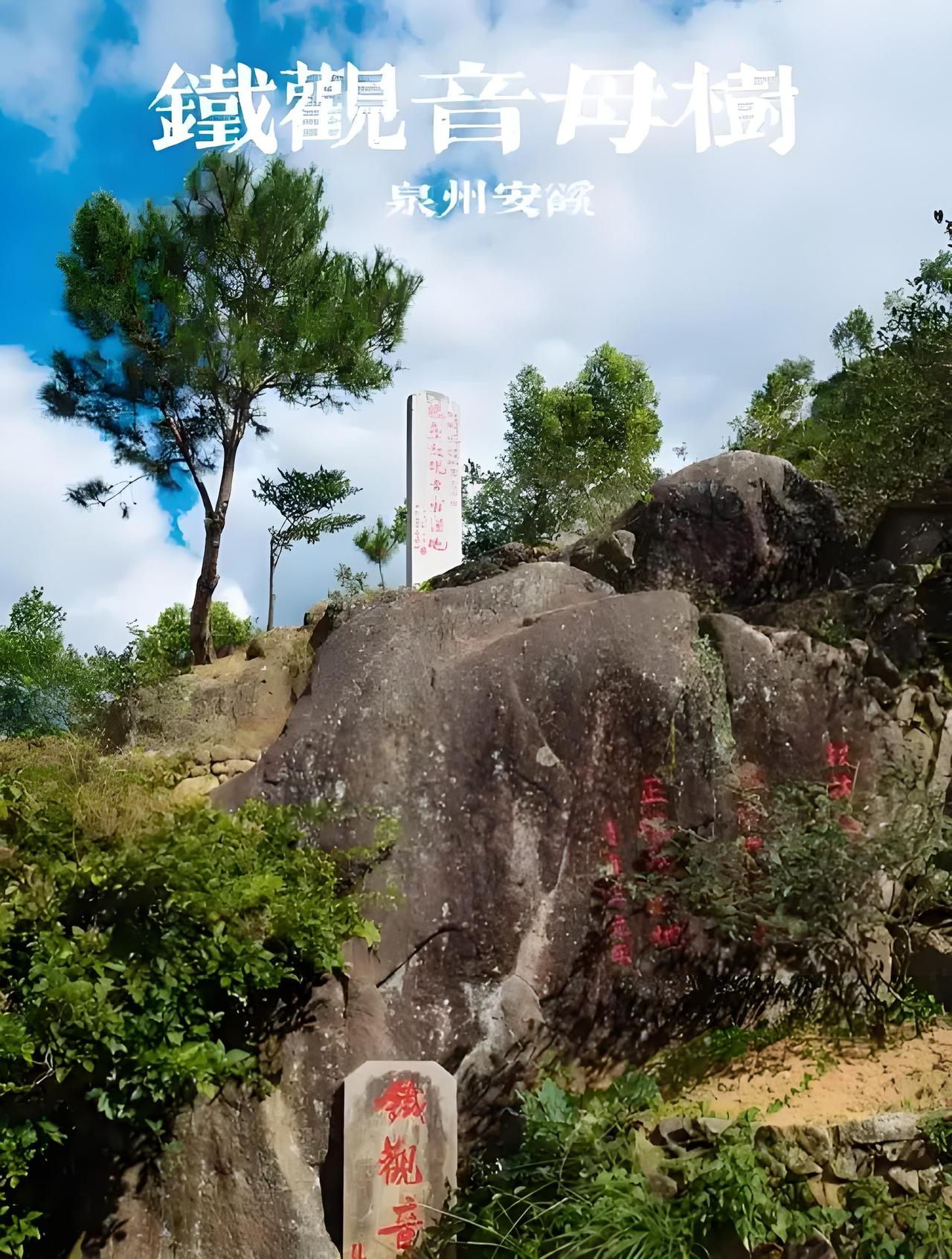 泉州安溪县“新四铁”


安溪“新四铁”：铁观音、冶铁遗址、藤铁工艺、春晚铁人，