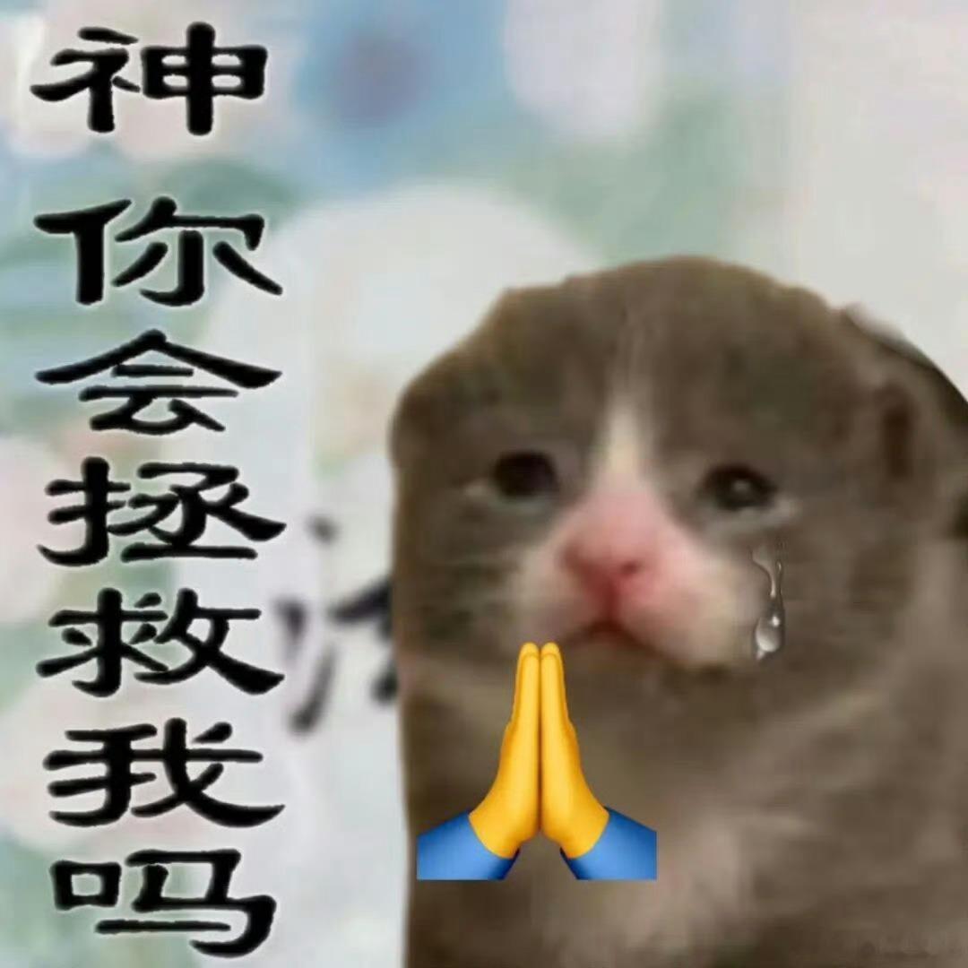 服了。。。我刚睡醒。。。[淡淡的][淡淡的]周六一天就让我这样睡过去了。。。 ​