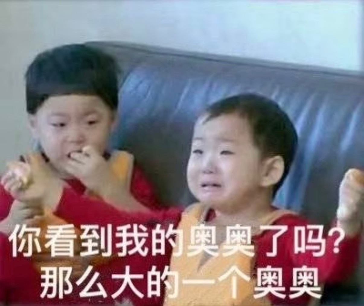 谁看见我的杨紫了 