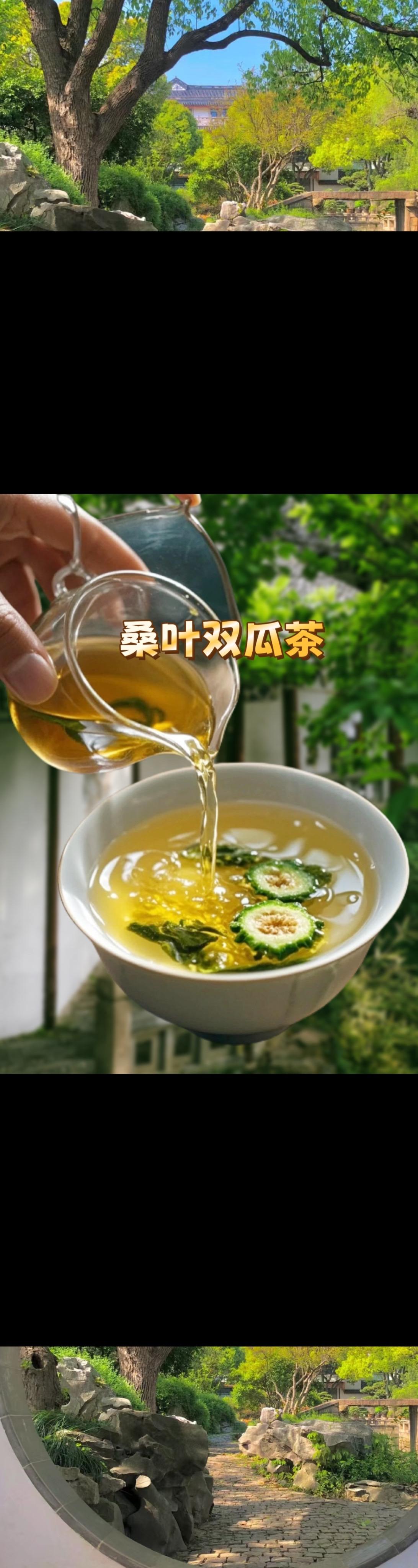 桑叶双瓜茶。这是是个神奇的搭配，苦瓜 ➕桑叶➕冬瓜皮，吃一段时间后，就...