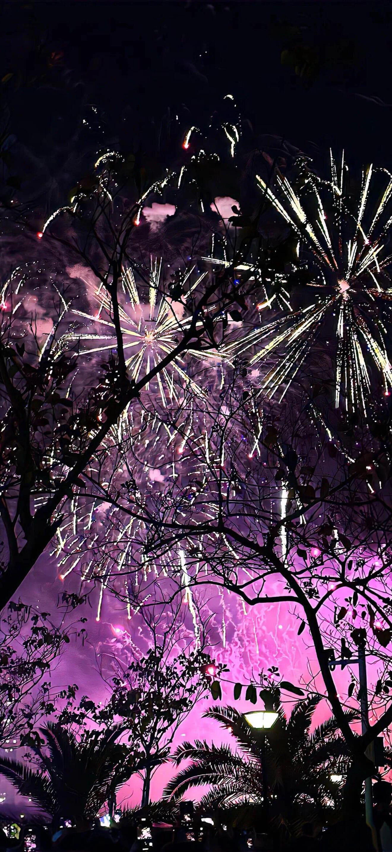 壁纸｜烟花壁纸｜高清壁纸 