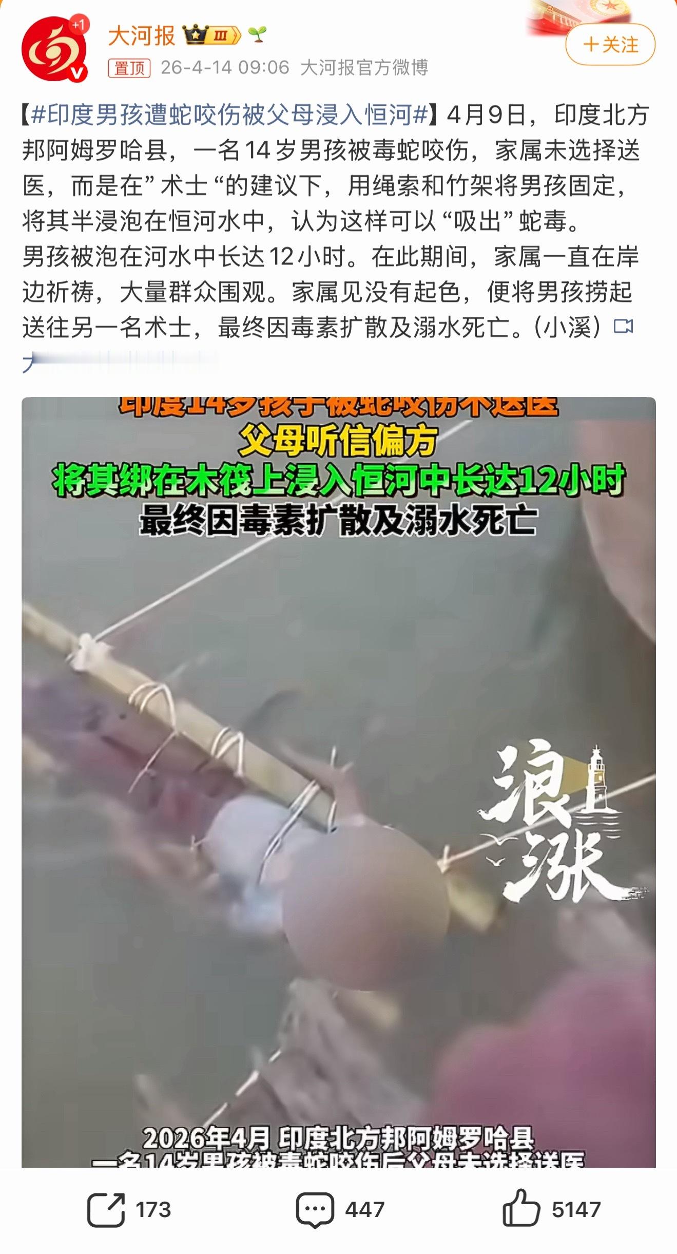 印度男孩遭蛇咬伤被父母浸入恒河孩子多就这样玩吗网友说的对轻度中度重度 印度 