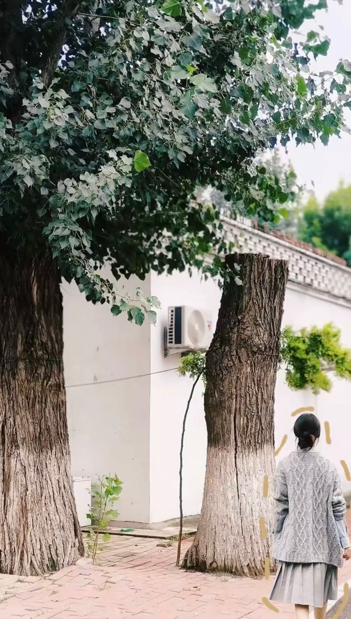 陈钰琪 看了会让人心情很好的图[爱慕]最新营业视频好治愈～好适合做壁纸呀[送花花