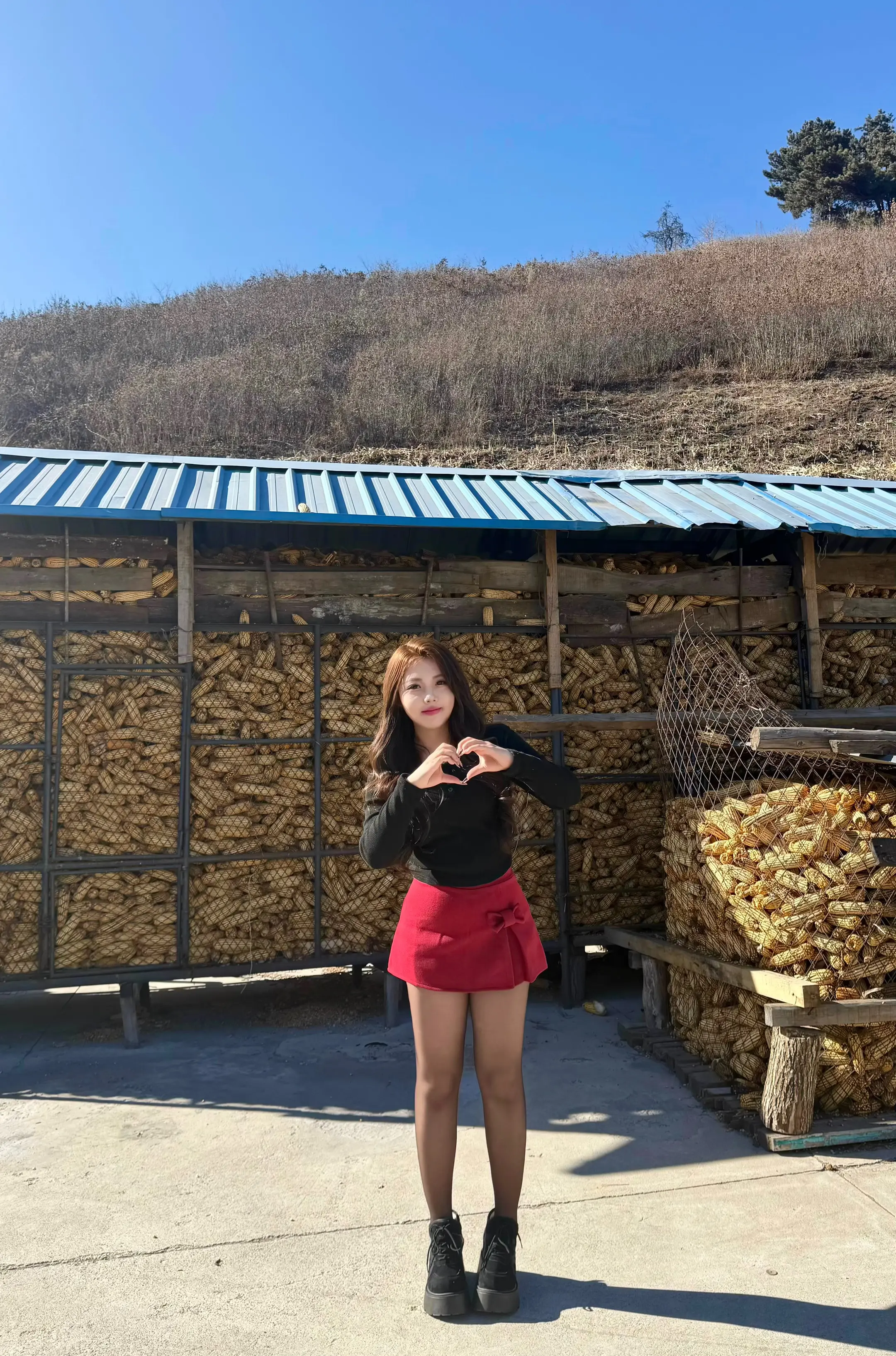 告诉咱妈 今年卖苞米的钱别乱花了 儿媳妇明年会去给她拜年。