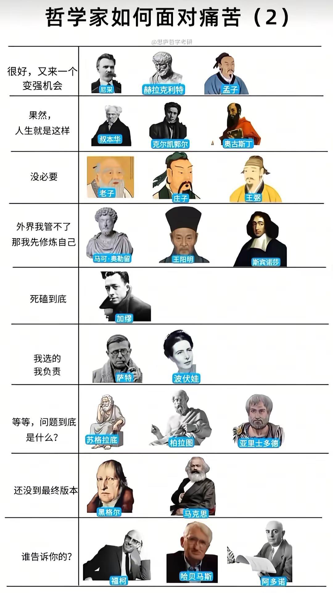面对痛苦的思考与应对的哲学家归类，很顶。今天看到这个面对相同研究领域（痛苦），不