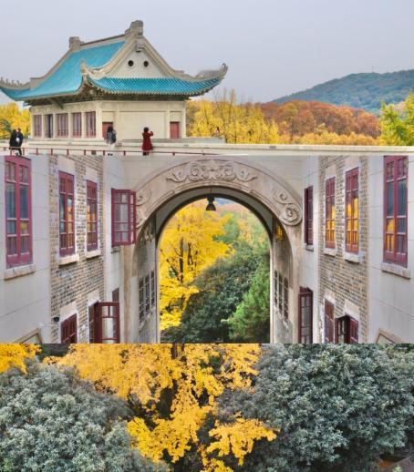 武大形象彻底毁了
不是别人害的
是自己作的


图书馆风波还没平息，
校方应对措