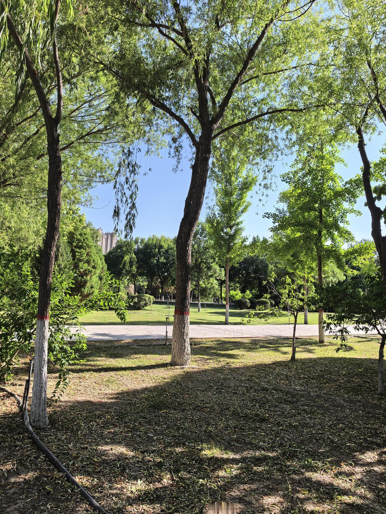 圣人是怎样在充满烦恼的红尘俗世中获得清凉境界的呢？或者说，圣人究竟是怎样在红尘俗